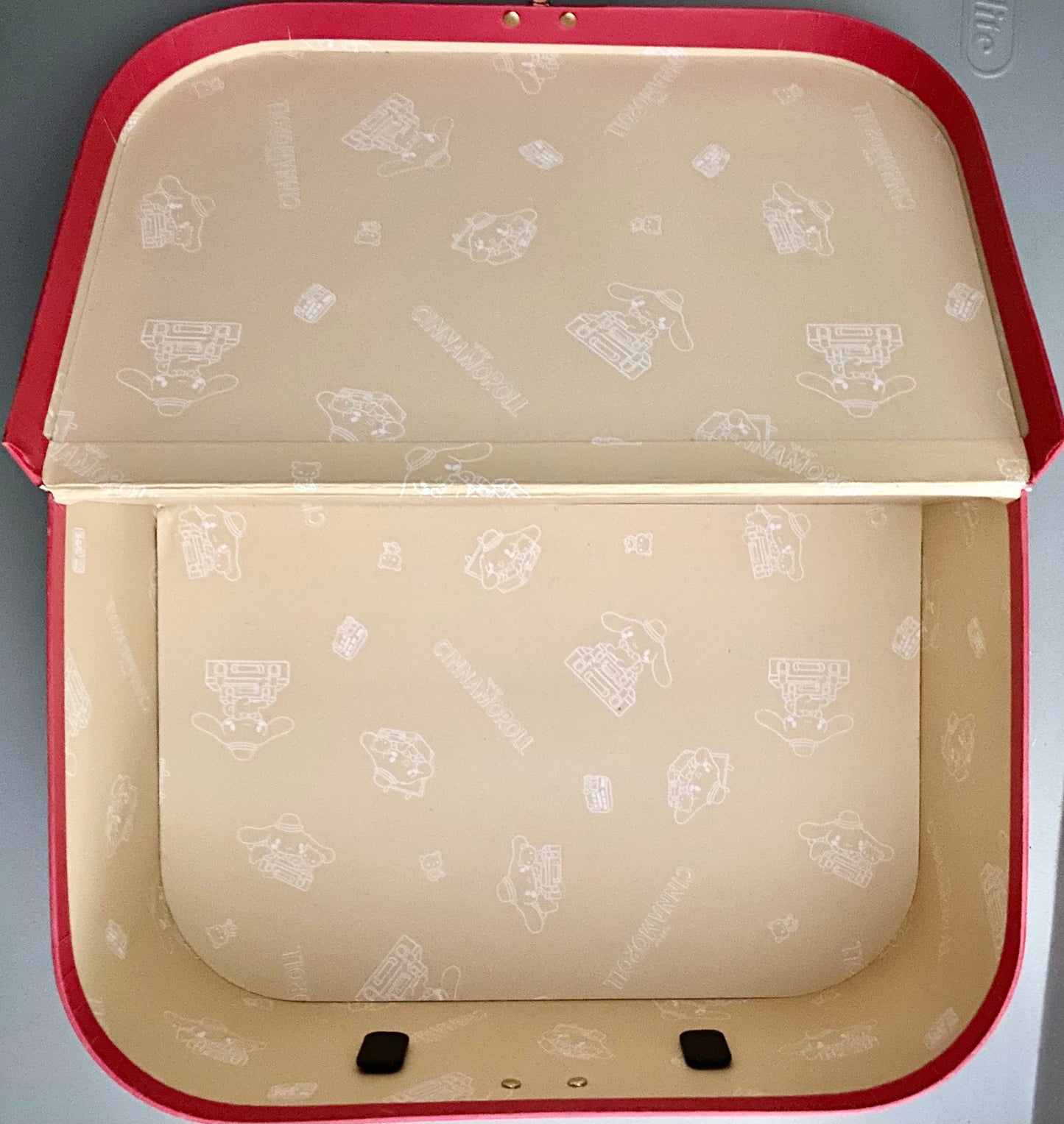 Cinnamoroll Case NEW